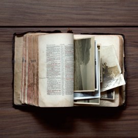 tumblr_lj3bxich9v1qbfnb8o1_500_large