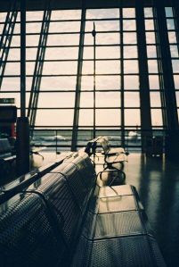 54eda42e6fc5ac4a6279c92dbb2775bb